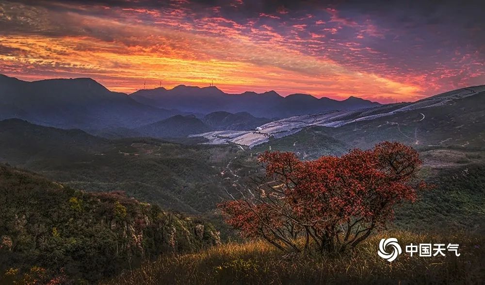 大美祖国河山！一组图带你看遍13省区市醉美秋景