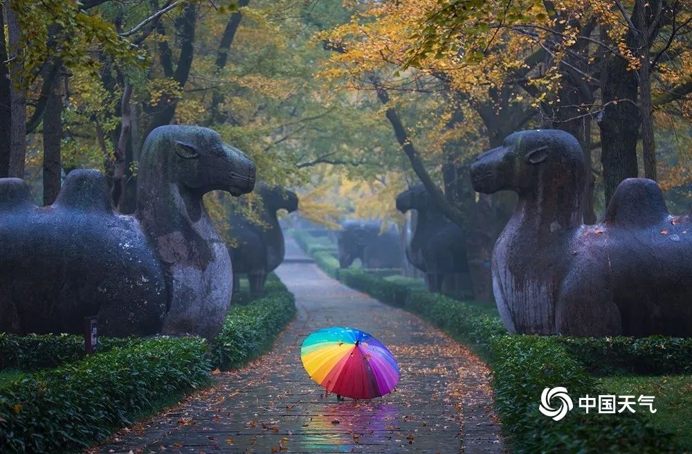 大美祖国河山！一组图带你看遍13省区市醉美秋景