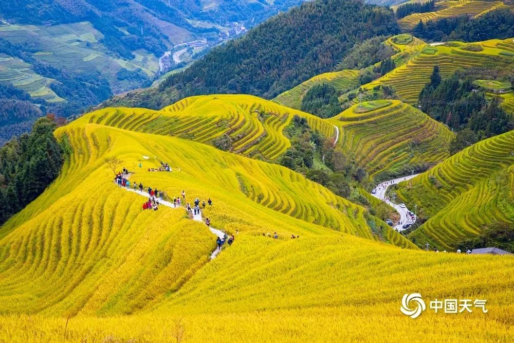 大美祖国河山！一组图带你看遍13省区市醉美秋景