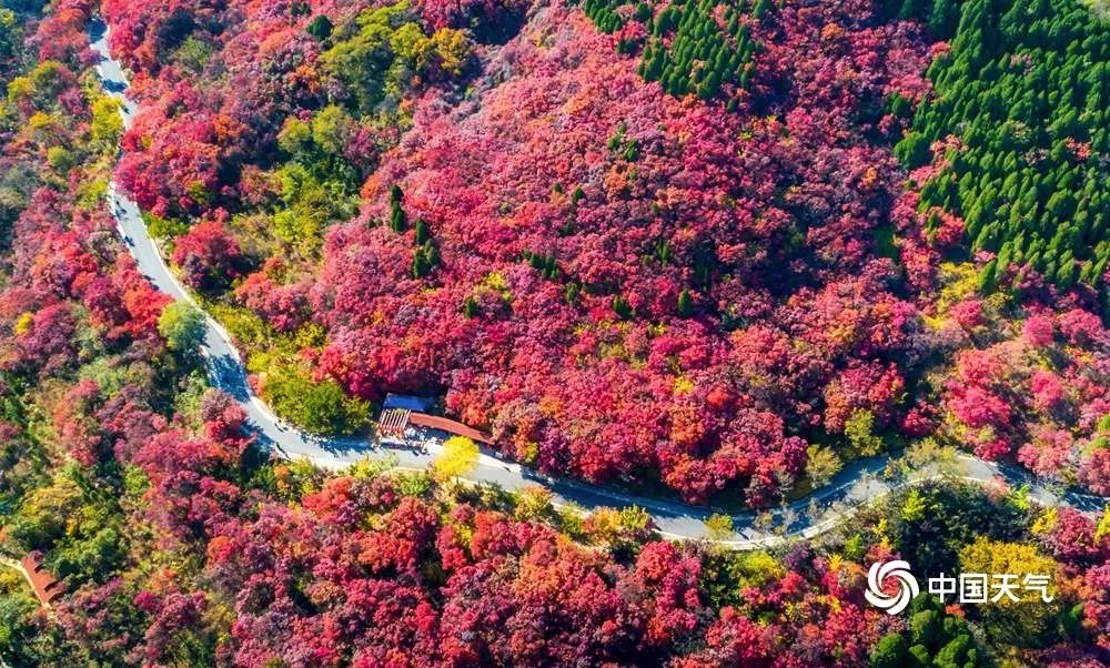 大美祖国河山！一组图带你看遍13省区市醉美秋景