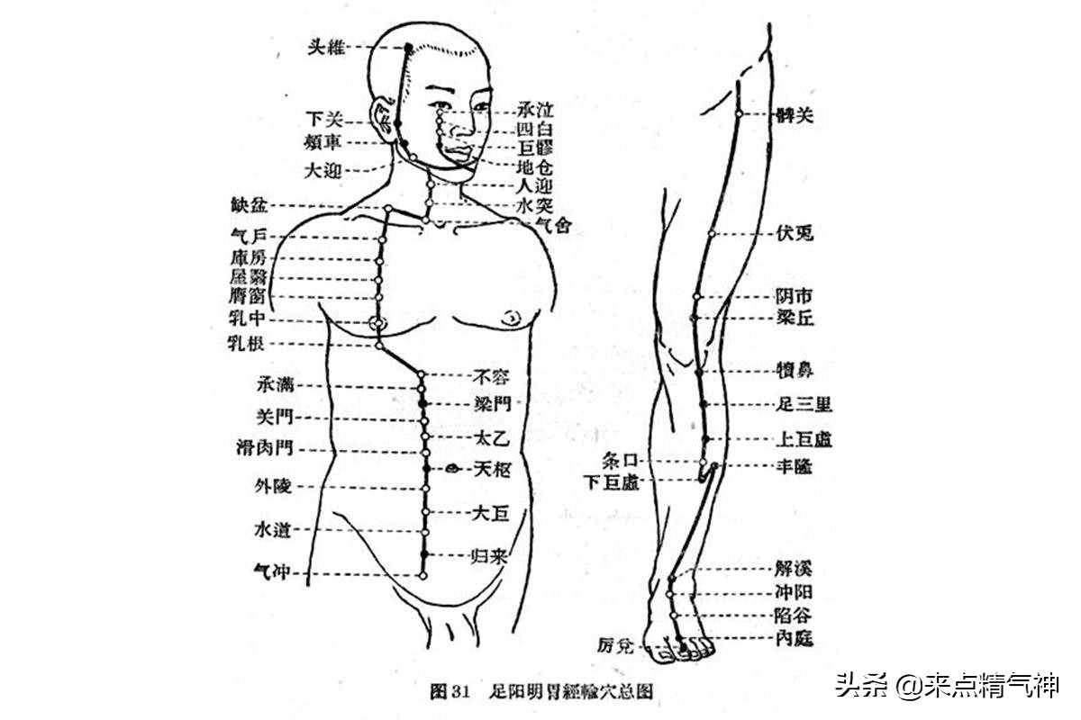 不规律的生活导致各种胃肠疾病！健脾养胃，只需动一动脚趾