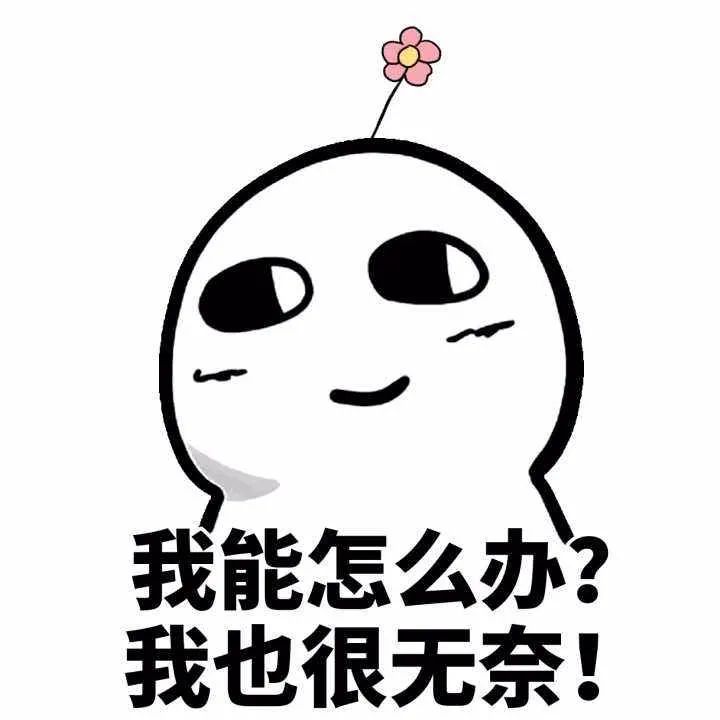5天了,台风艾莎尼去哪还在“调整中”到底谁在操控台风路径?