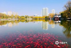 青海西宁的大街小巷、公