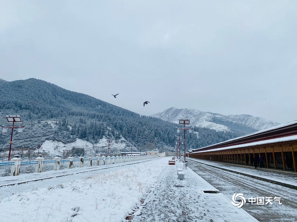 “世界藏学府”拉卜楞寺银装素裹 雪后宁静庄严