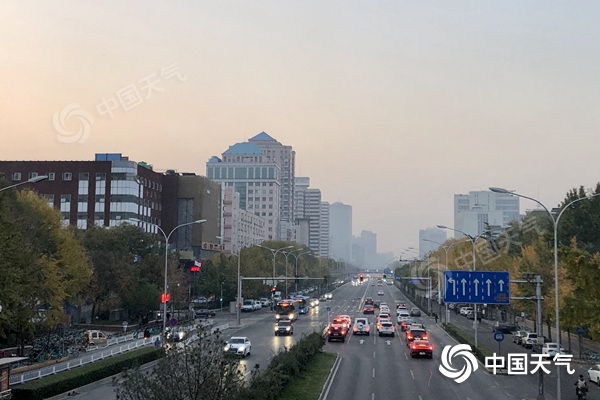 北风又起!北京今明天风力加大 周日又现降温