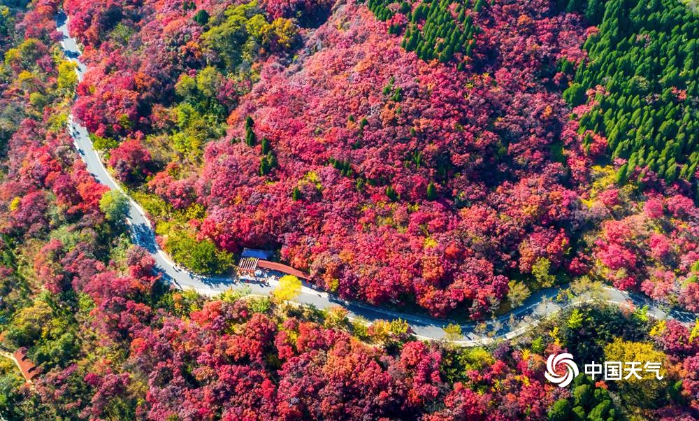 霜花秋叶知寒落 一组图尽赏祖国大美风光