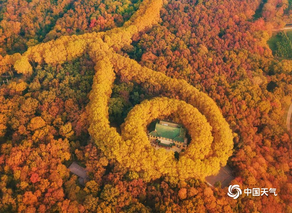 霜花秋叶知寒落 一组图尽赏祖国大美风光