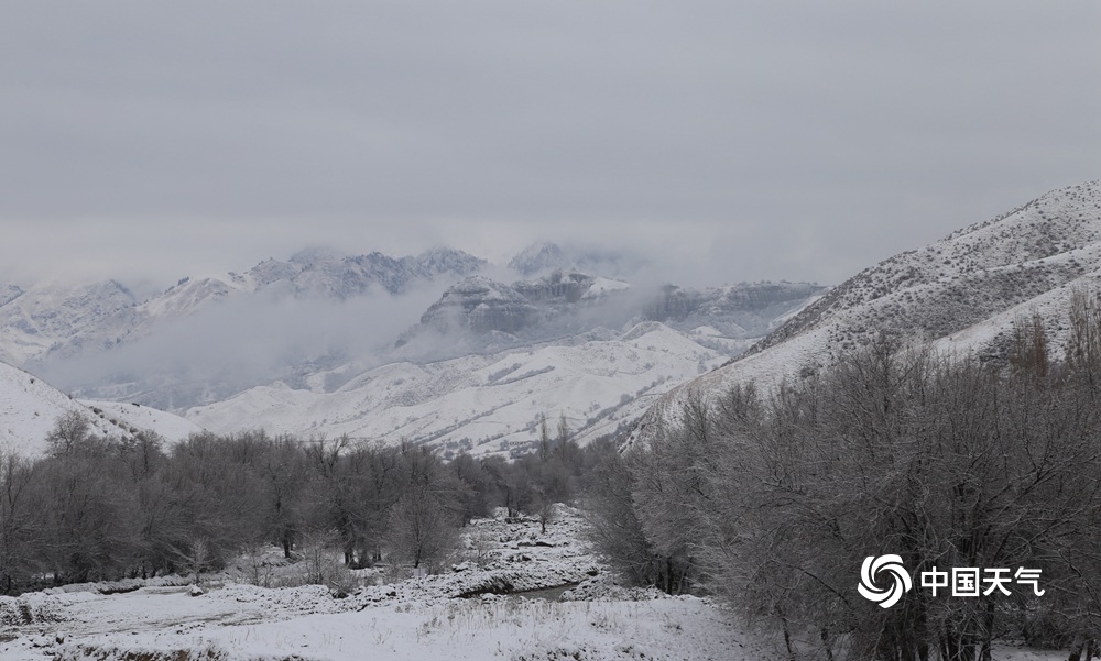 新疆伊犁霍城县迎大范围降雪 天地美如画