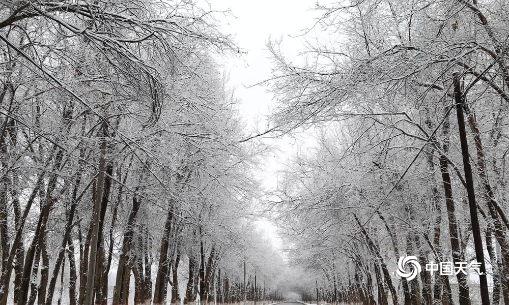 新疆伊犁霍城县迎大范围降雪 天地美如画