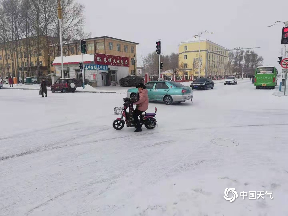 感受冬之气息 内蒙古呼伦贝尔等地雪花飘落