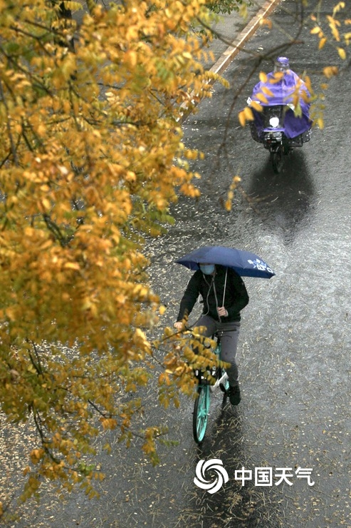 雨扰京城能见度不佳 早高峰汽车排长龙