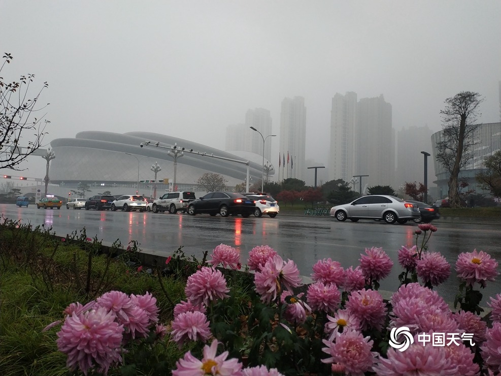 陕西宝鸡现雨雾天气 能见度不佳楼宇若隐若现