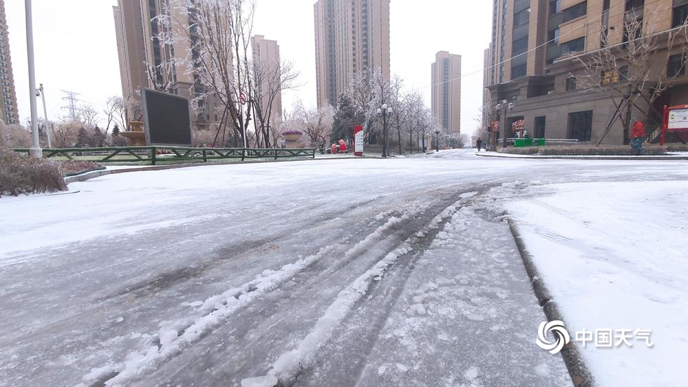 黑龙江吉林现少见冻雨天气 草木披冰甲如“钻石”