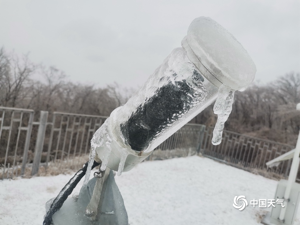 黑龙江吉林现少见冻雨天气 草木披冰甲如“钻石”