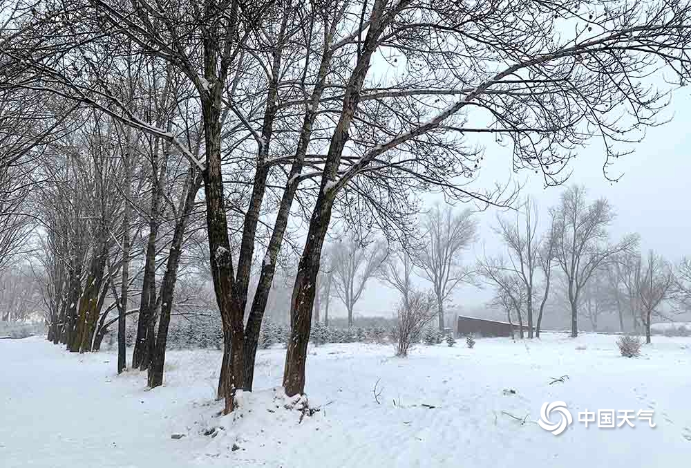 青海大部出现降雪致部分高速路积雪结冰