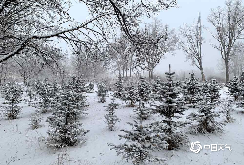 青海大部出现降雪致部分高速路积雪结冰