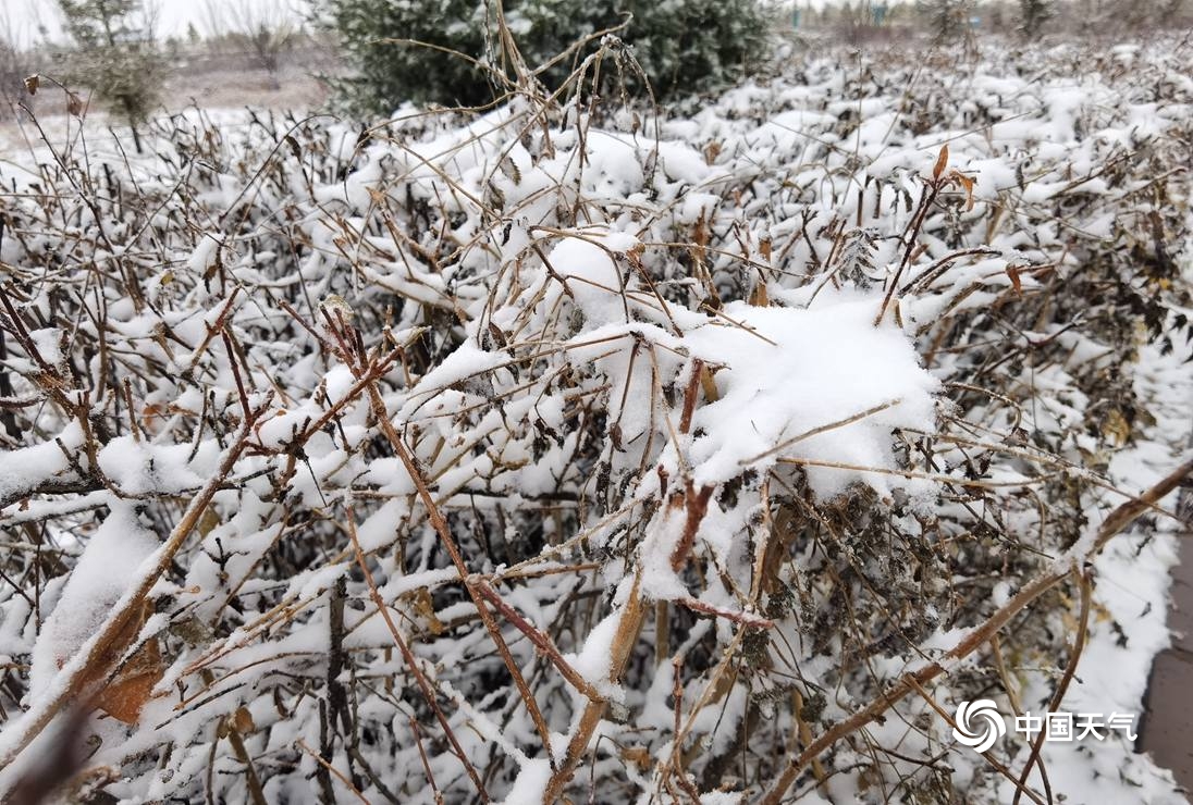 内蒙古多地出现降雪 航拍视角看雪中现场