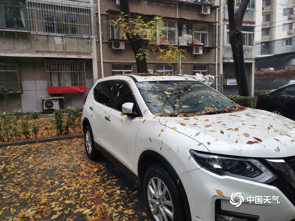 天津降下立冬以来首场雨 部分道路积水明显