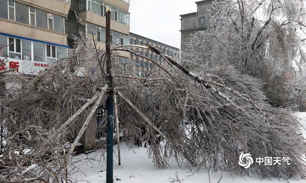 雨雪大风齐袭 吉林多地市民出行受阻