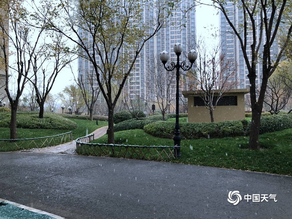 北京下雪啦!一组图直击北京多地降雪现场