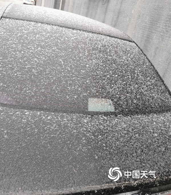 北京下雪啦!一组图直击北京多地降雪现场