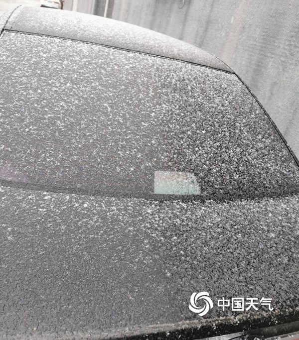 北京下雪啦！一组图直击北京多地降雪现场