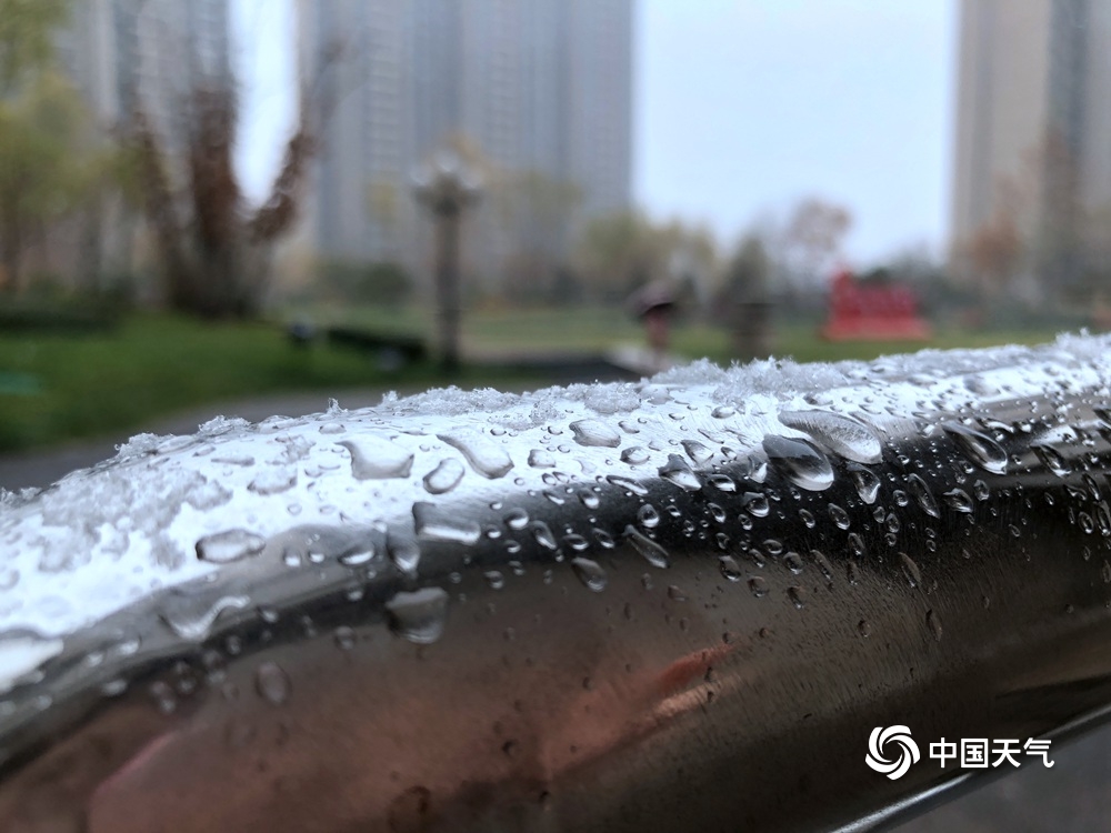 北京下雪啦!一组图直击北京多地降雪现场