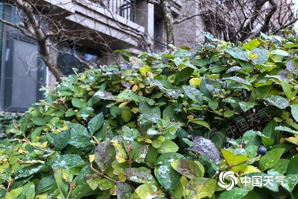 下雪了!北京小雪节气前夕喜提今冬初雪 较常年同期偏早