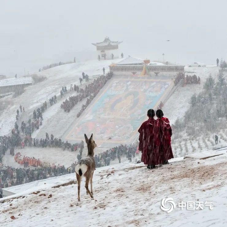 让我在微信给你下场雪