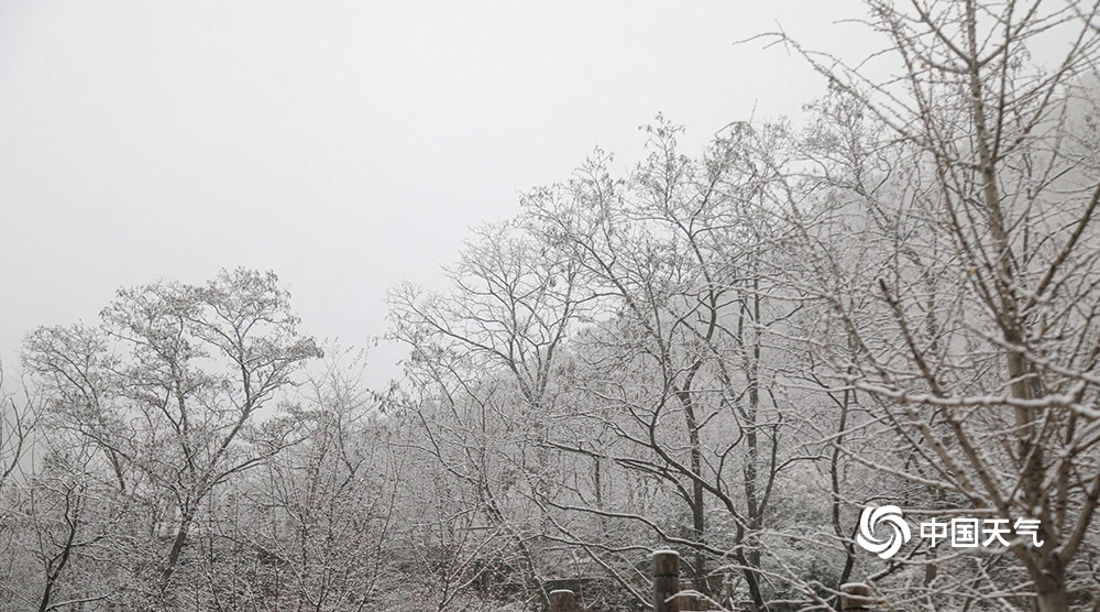 山东济南九如山风景区雪花飞舞银装素裹