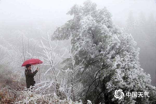 重庆多地迎雾凇美景 今日东部高海拔地区仍有降雪