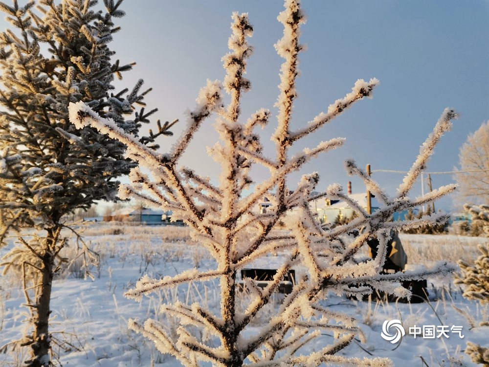 内蒙古图里河现雪淞景观 阳光下银光闪烁