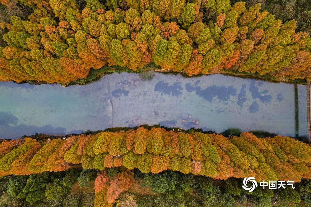 一组图告诉你祖国有多大 南方繁花似锦北方大雪纷飞