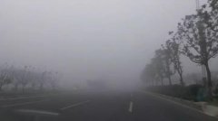开车遇见大雾天气应该怎