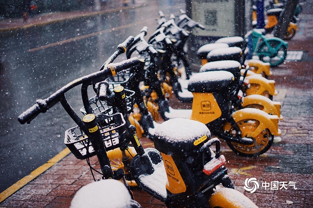 山东烟台今迎降雪 雪花飞舞披银装