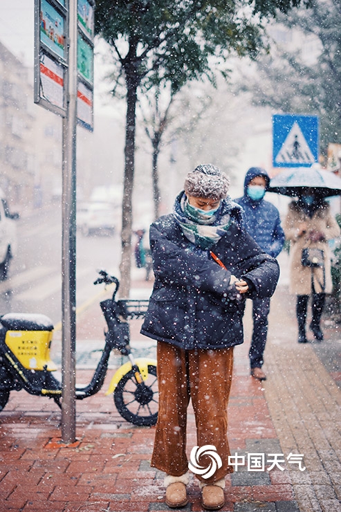 山东烟台今迎降雪 雪花飞舞披银装