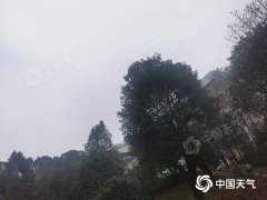 今明两天湖南大部地区雨