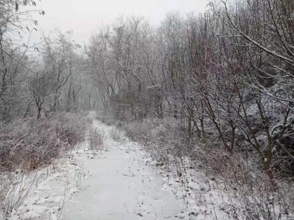 冷冷冷！最低-5℃！降雪也来了...下周烟台天气太刺激