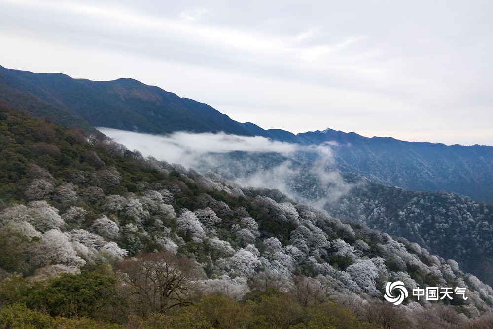 贵州梵净山：冰花漫山 云雾缭绕