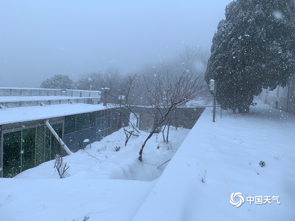 河南嵩山雪花飘 漫山银装景色绝佳