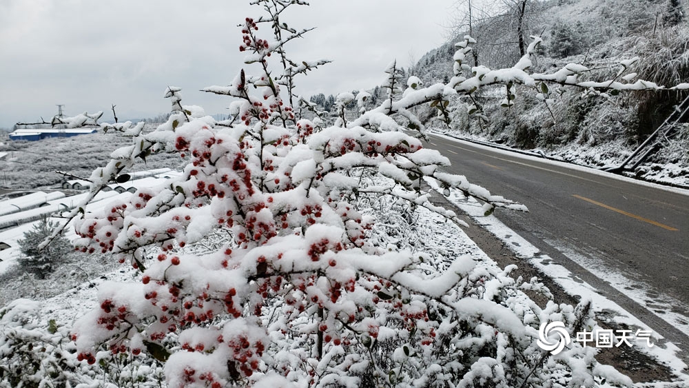 下雪啦！贵州多地今冬初雪如期而至 天地浑然一体
