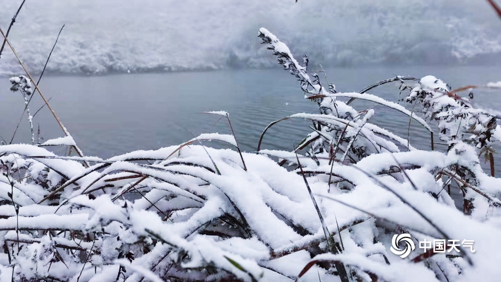 下雪啦!贵州多地今冬初雪如期而至 天地浑然一体