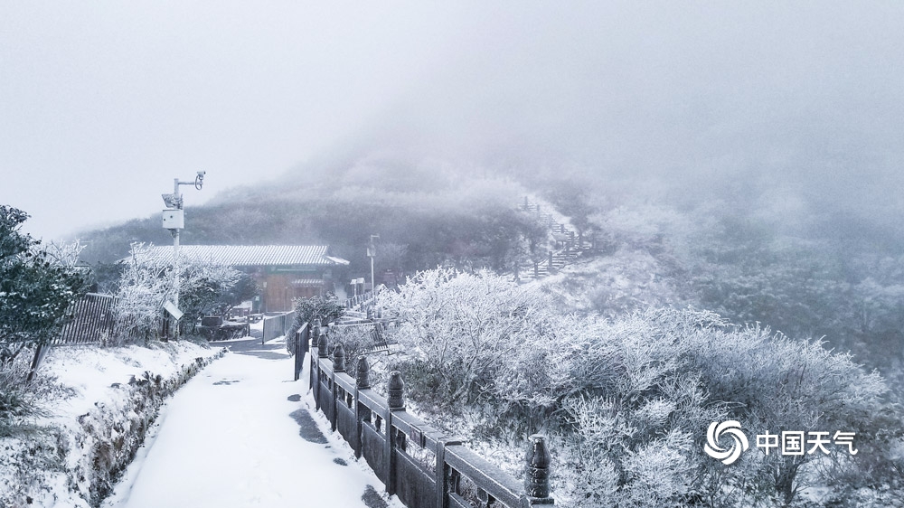 下雪啦!贵州多地今冬初雪如期而至 天地浑然一体