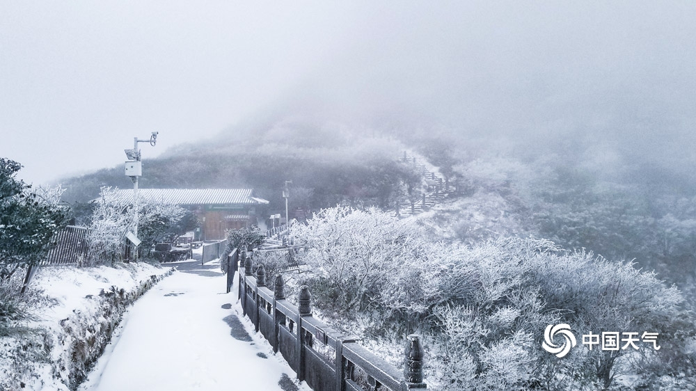 下雪啦！贵州多地今冬初雪如期而至 天地浑然一体