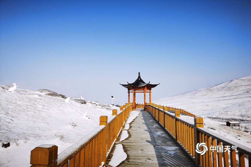 甘肃乌鞘岭雪后初晴天空通透蓝 牦牛雪中悠闲漫步