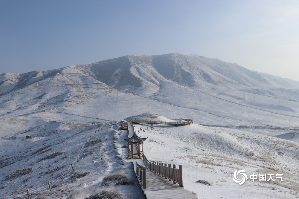 甘肃乌鞘岭雪后初晴天空通透蓝 牦牛雪中悠闲漫步