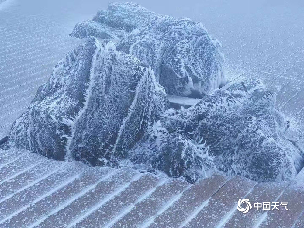 广东也能赏雾凇!连山金子山景区现大片雾凇景观 处处玉树琼花