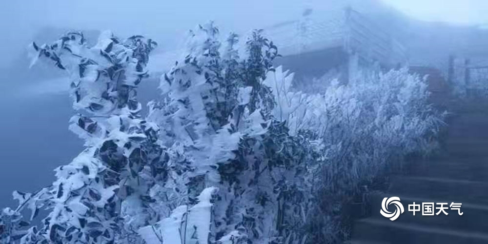 广东也能赏雾凇!连山金子山景区现大片雾凇景观 处处玉树琼花