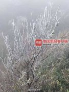 南宁最低气温只有8.7℃，