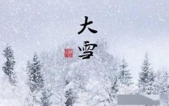 虽然此“大雪”非你们想